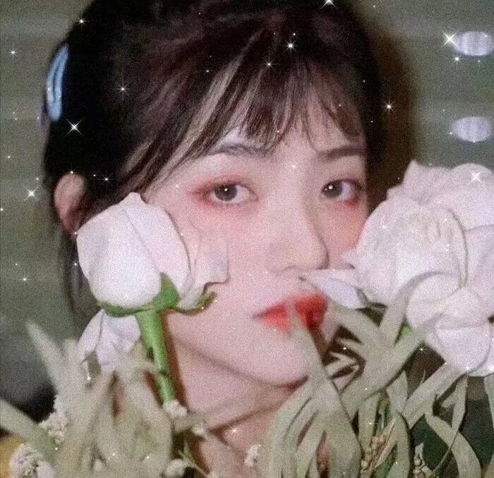 小雪的太阳